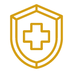 Health Insurance Icon