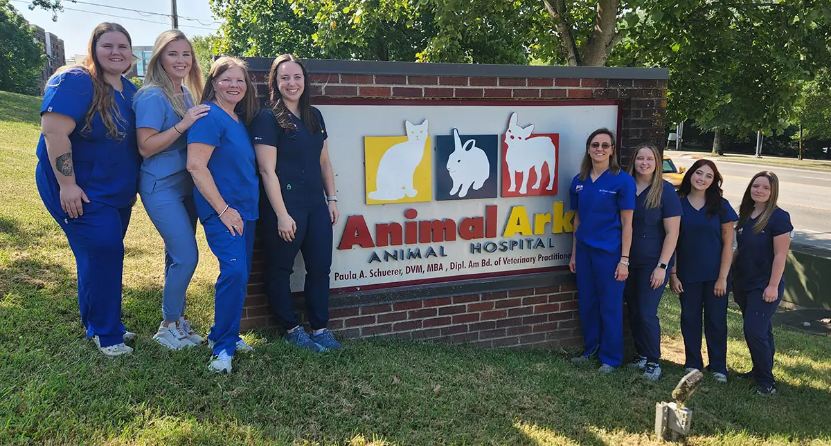 Our Veterinary Team In Franklin Tn