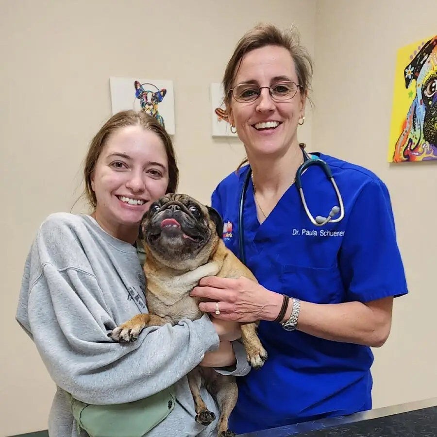 Veterinarian consulting with pet owner and dog at Animal Ark Animal Hospital in Franklin, TN