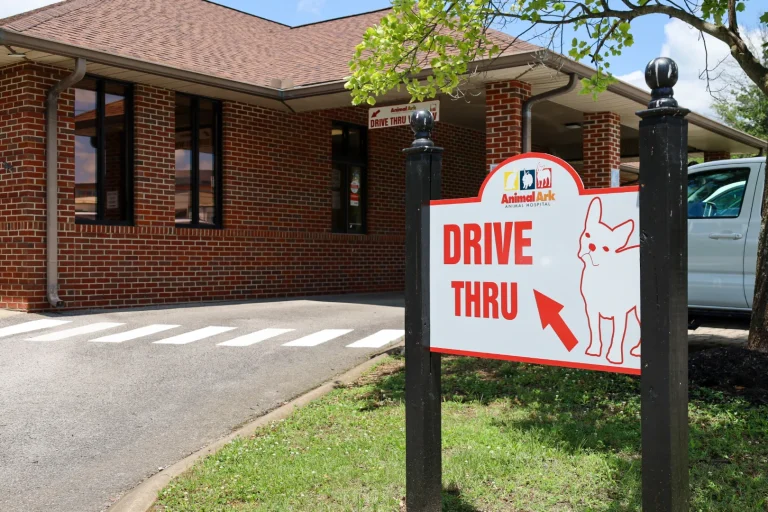Veterinary care at Animal Ark Animal Hospital – Franklin, TN animal hospital