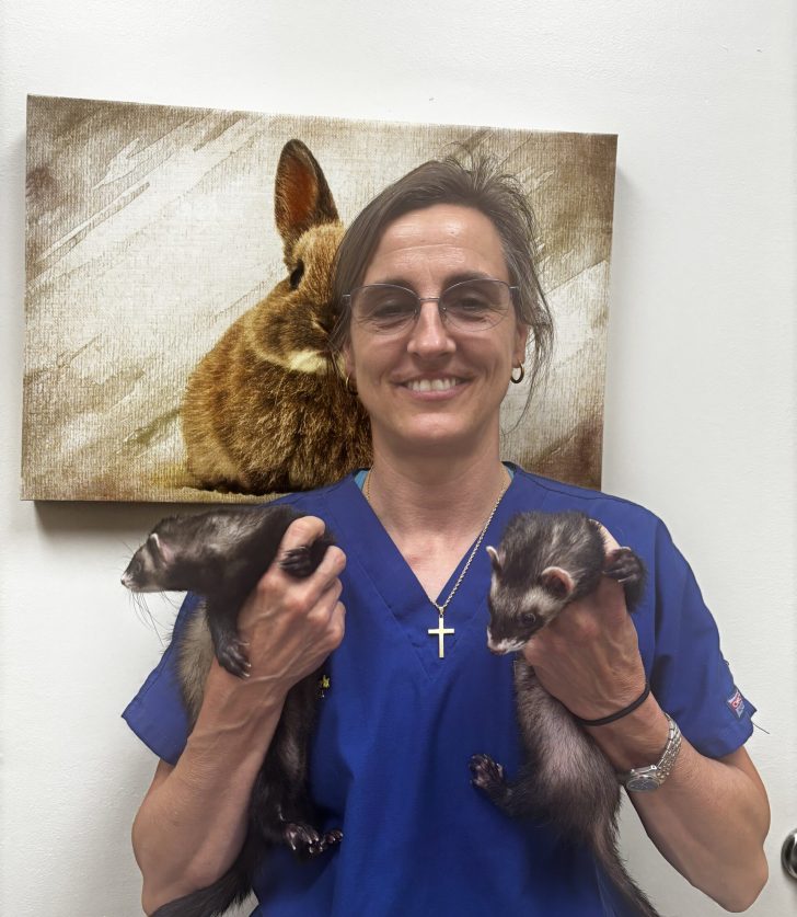 Exotic Veterinary Services in Franklin, TN